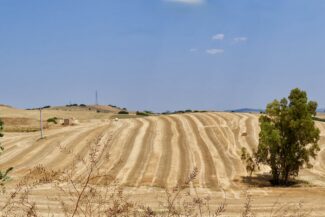 Landschaft um Matera, 2025